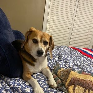 Meet your Posher, Charlotte